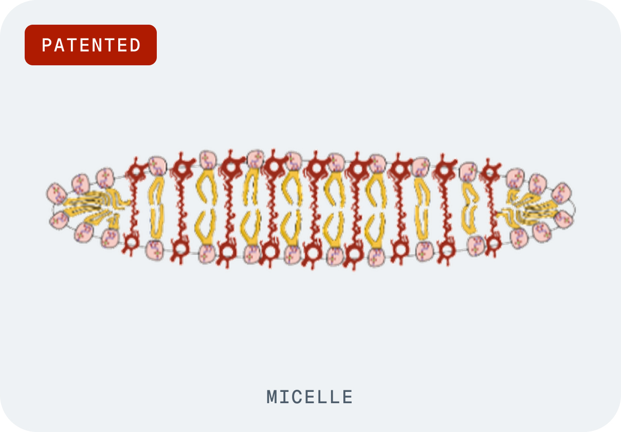 A 40 nm astaxanthin micelle