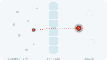 A nanoparticle crossing the blood-brain barrier
